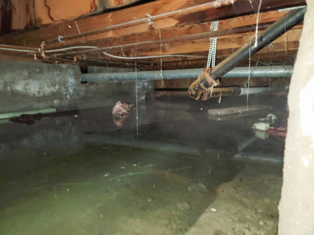Best Water damage restoration near me  in Watseka, IL