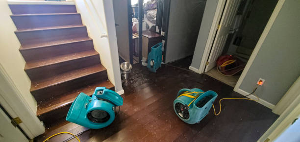 Best Carpet water damage restoration  in Watseka, IL