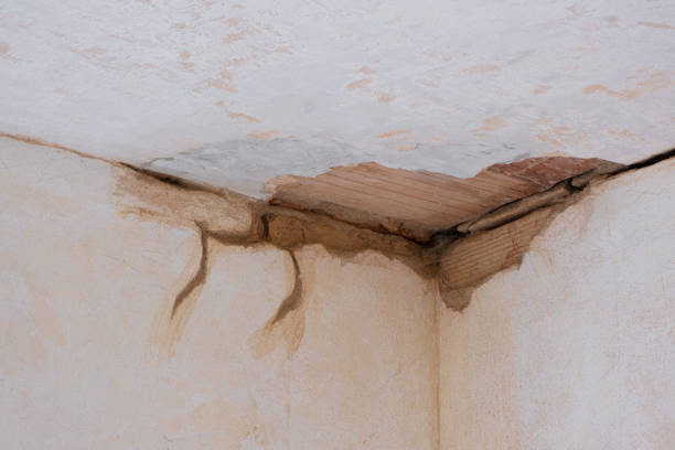Best Flood damage cleanup  in Watseka, IL