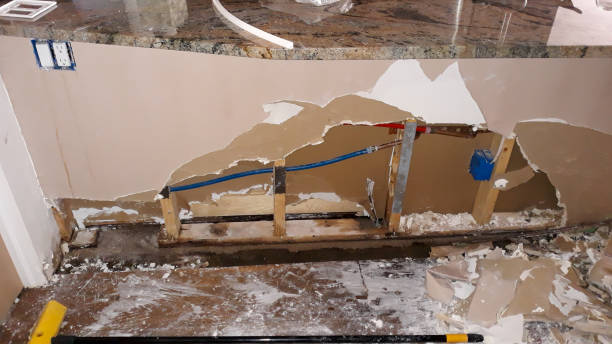 Best Water damage contractors near me  in Watseka, IL