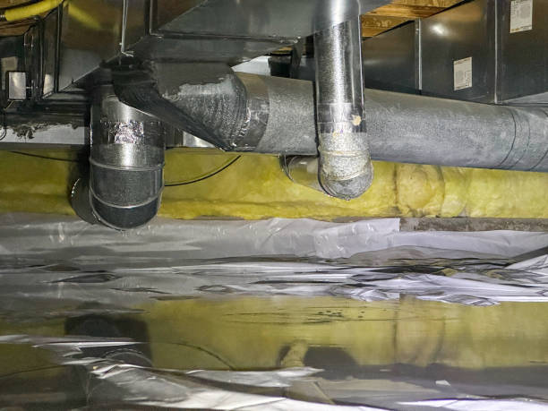 Best Basement water damage restoration  in Watseka, IL