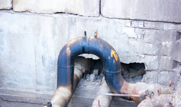 Best Flood restoration services  in Watseka, IL