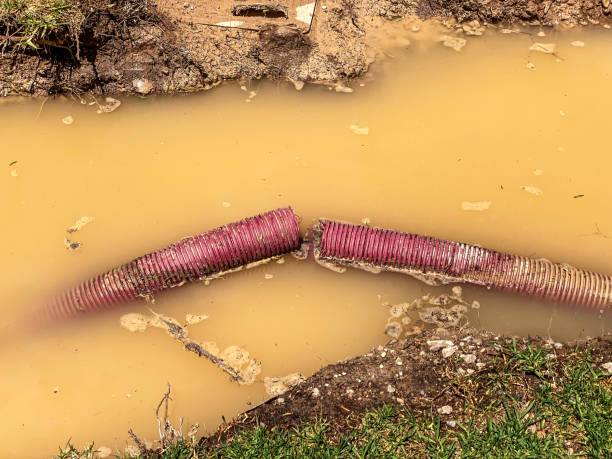 Best Commercial water damage restoration  in Watseka, IL